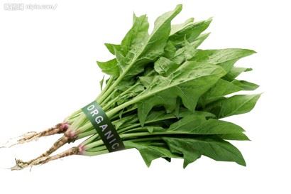 佛学知识|什么是佛教中的荼毗（túpí）仪式？