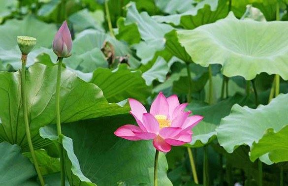 把世间的欲望加在佛菩萨身上，那证明你要完了