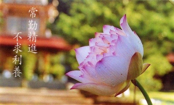 常敏法师答：该怎样来破除这些障碍呢？