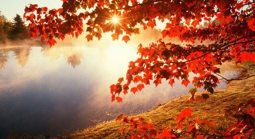 印光大师：人死后真实一了百了没有报应吗？