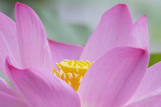 真正懂得惜福的人才会有福