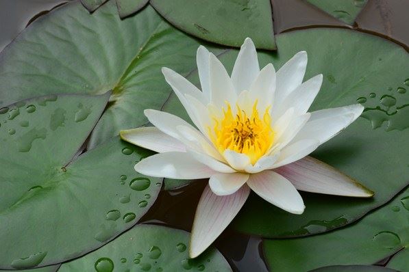 修行，究竟在修啥？