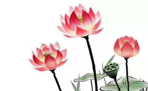 比丘尼优波鞠多用一碗麻油开示修行的奥妙