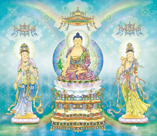 诸位大德菩萨高僧，怎样做好一个名副其实的佛教徒