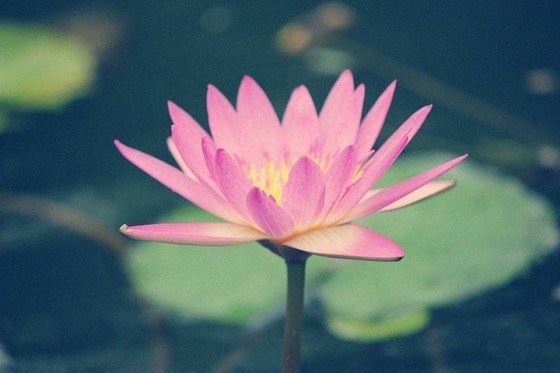 什么是真正的法师?