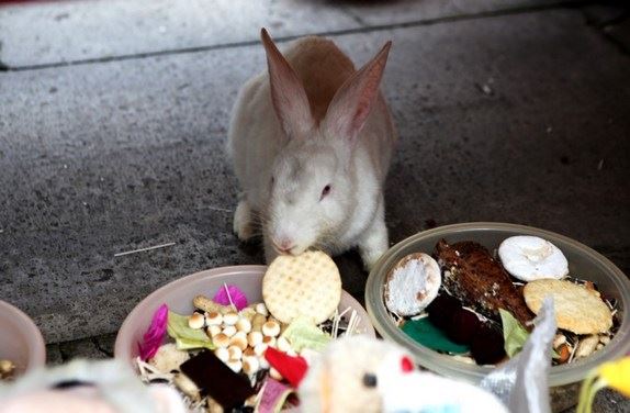 念佛要趁早，不要等到死亡来临或身患绝症时才想起来