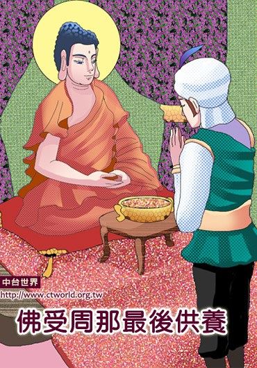 我们是因为害怕因果和轮回才去修行吗