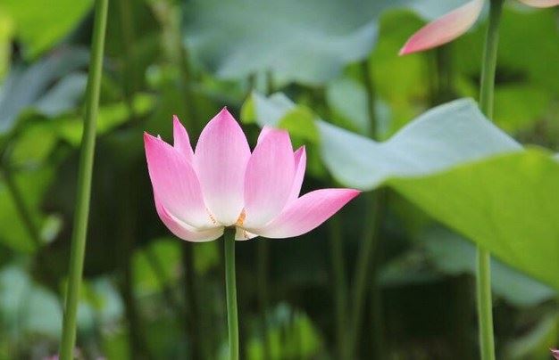 修行时眉心看到白光是为什么？