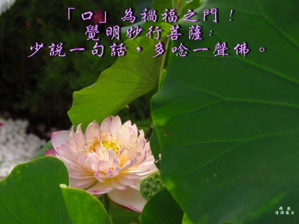 佛说：心在哪，佛法就在哪