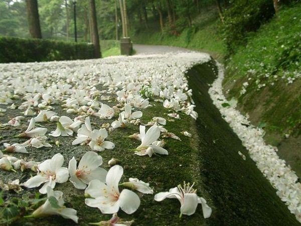佛、法、僧三宝所代表的意义是什么
