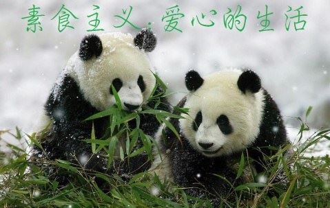 要有智慧，要看破人生