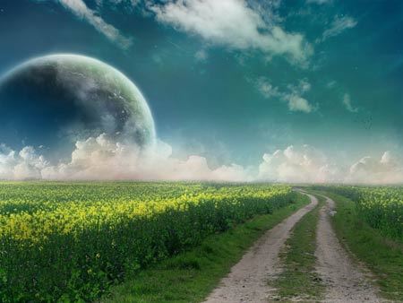 佛陀教诲：同情别人，帮助别人