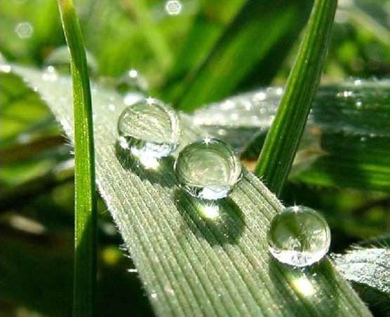 学会感恩才能走得更长远