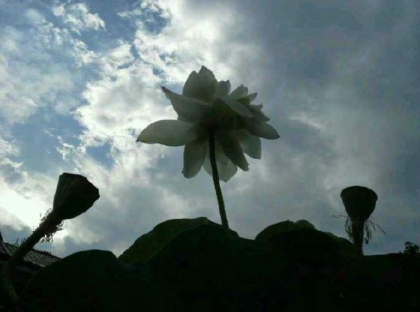 迷途知返，为子孙求福