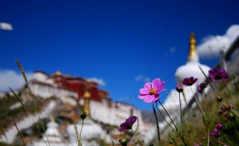 寂静法师：上天永远给你留了一扇这样的门！