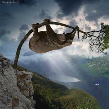 放下包袱，生命可以不必如此沉重