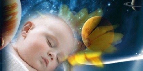 美丽善良的白菊仙女