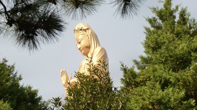 常敏法师答：善导大师讲念念不舍，毕命为期，是不是--