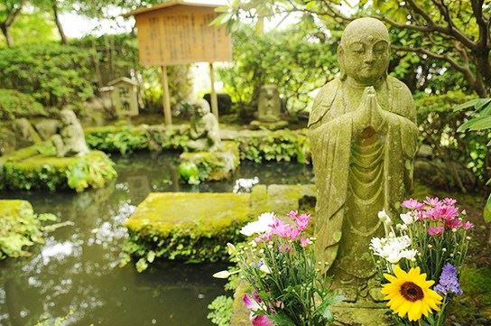 修行人与世无争，为什么还要精进学习呢