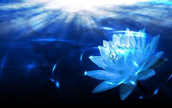 “理想国”西方极乐世界究竟什么样？