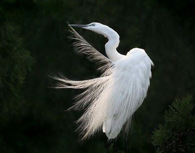 常常忏悔，消除业障，才能使过去的宿业不现前，善根增长