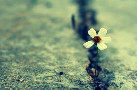 助印经书的十大功德