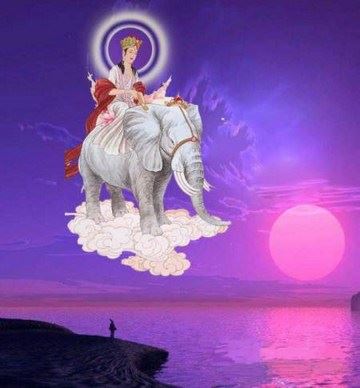 龙是佛门里的大护法吗？