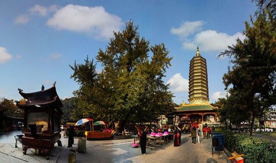 没有学会忍就不要说你是学佛人