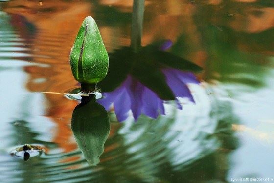 到寺庙里如何正确拜访法师？