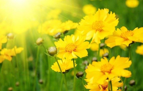 佛说：无论你遇见谁，他都是你生命该出现的人，绝非偶然