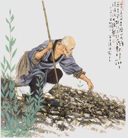 佛教认为生命最初是如何形成的？