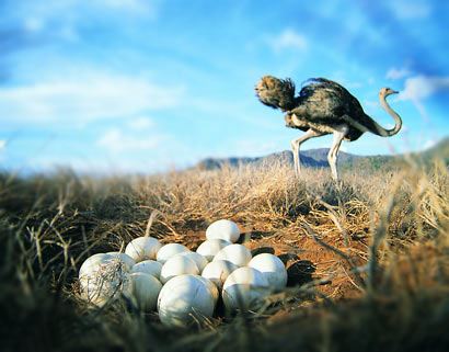 佩戴般若摄颂挂件的殊胜功德