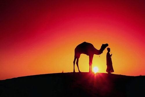 烦恼浊，有欲望有烦恼，须明心见性