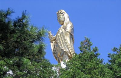 诵金刚经的心得和体会，学佛贵在发心