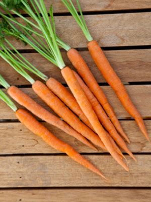 人生无常，枯叶凋零