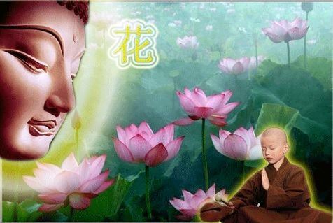 佛教中因果和轮回是有规律可寻的，学习好，定会增加福报