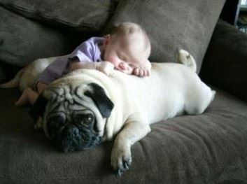 六道众生是父母，学佛人必须要知道孝亲观