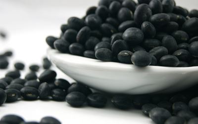 新年诵读《吉祥经》一切吉祥圆满