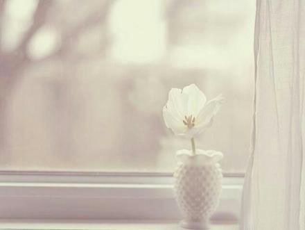 金庸的学佛心路历程