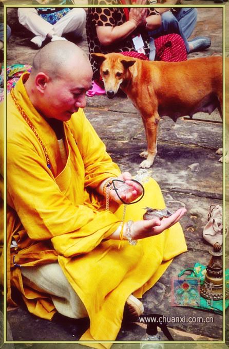 正确的西方三圣佛像摆放方法是什么？