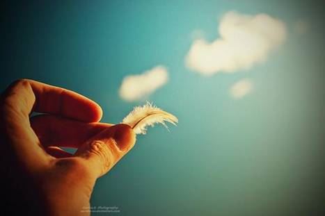 人分四种，莲有九品——值得你珍惜的因缘在哪里？