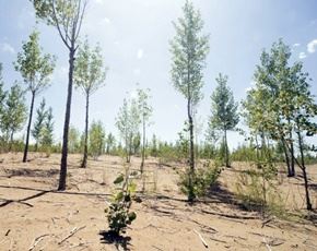 为什么有人学佛后更倒霉了