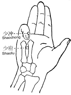 济群法师：如何修学戒律