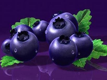 无名禅师开示小沙弥跟着内心的感觉走