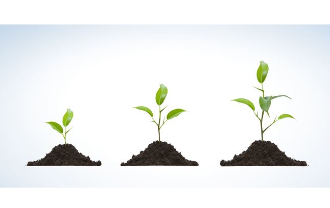 饿鬼的可怕果报