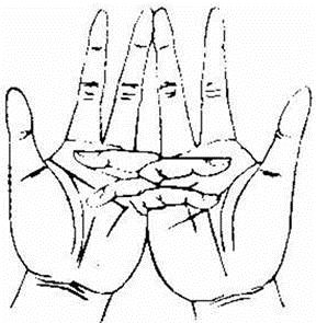 放生无论钱多少，即使放一条生命功德也不可思议