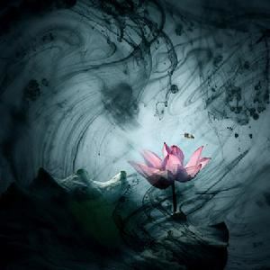 信佛有几种信心？