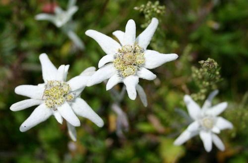 学禅一辈子却无法悟禅该怎么办？