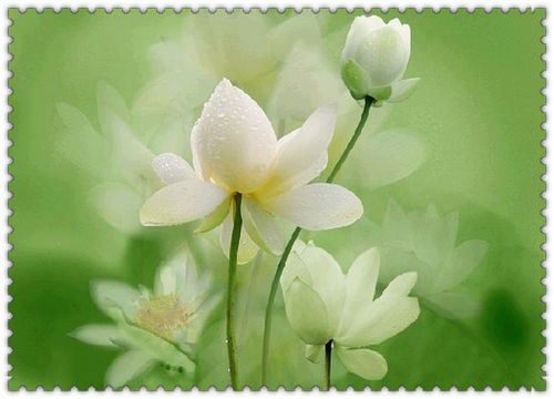 为什么这世界上有人富贵有人贫穷