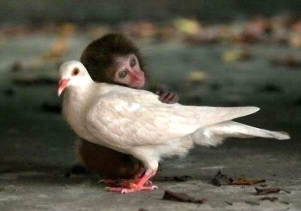 福报是怎么来的？如何才能获得大福报？